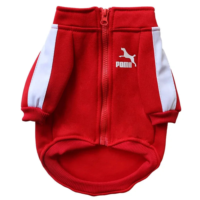 Dog Baseball Jacket