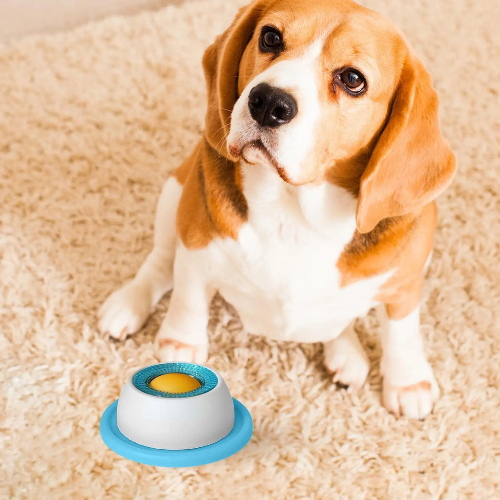 Interactive Lick Feeder for Dogs & Cats