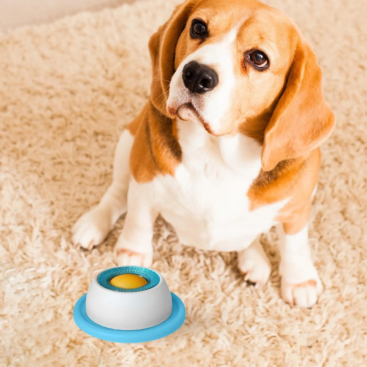 Interactive Lick Feeder for Dogs & Cats