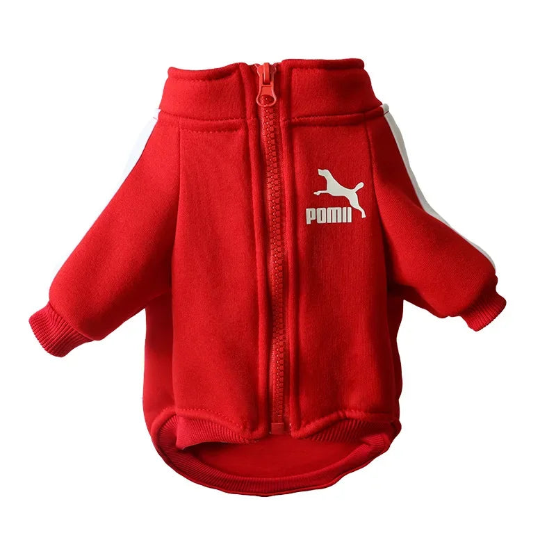 Dog Baseball Jacket