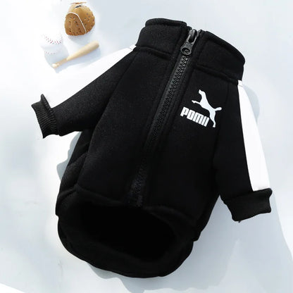 Pet Sweatshirt | Warm Letter Print Hoodie for Dogs &amp; Cats | Fall &amp; Winter