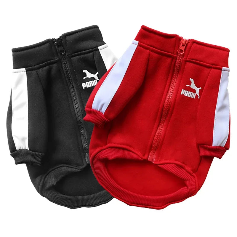 Dog Baseball Jacket