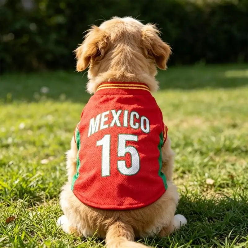 Dog Sports Shirt with Open-Weave Fabric for Casual Outings and Photos 55KF