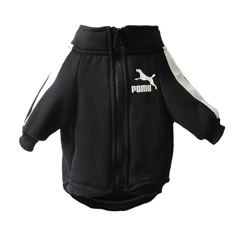 Dog Baseball Jacket