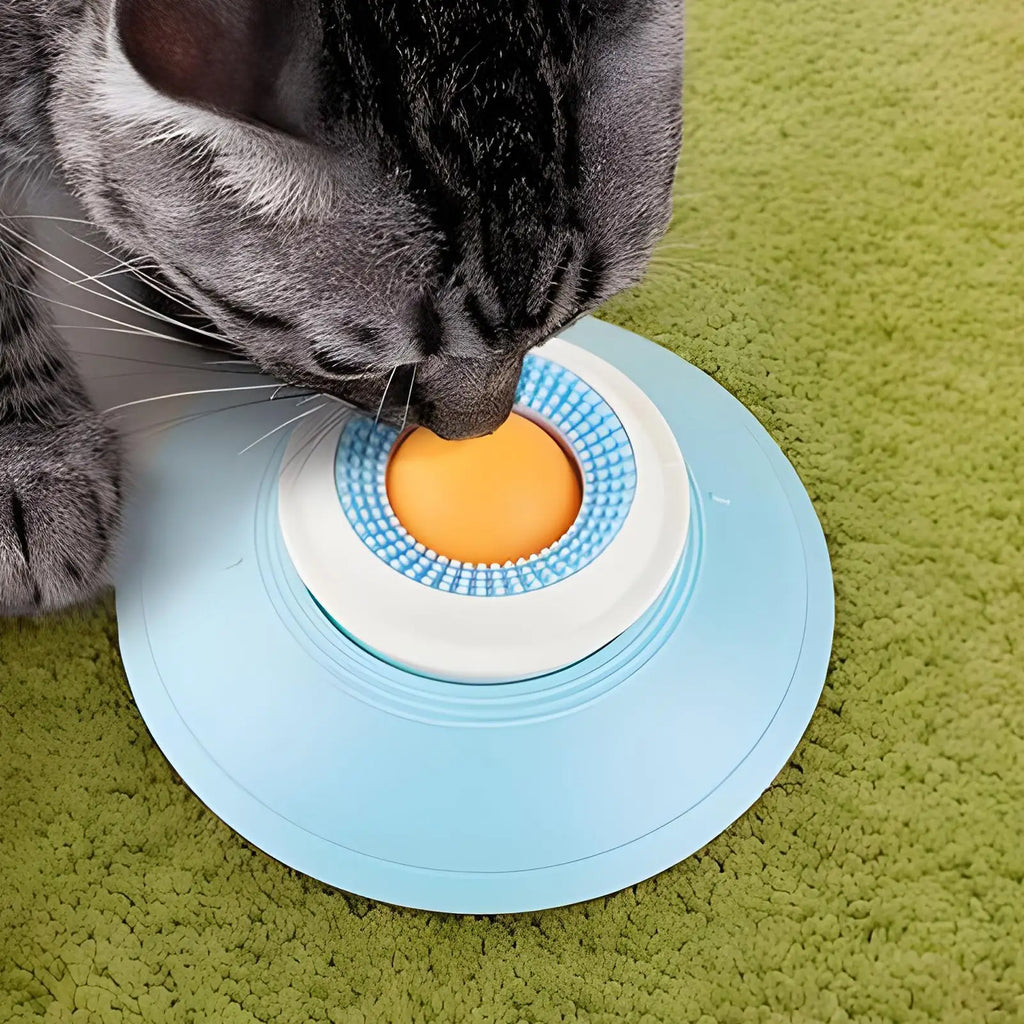 Rotating Lick Ball Feeder for Dogs & Cats