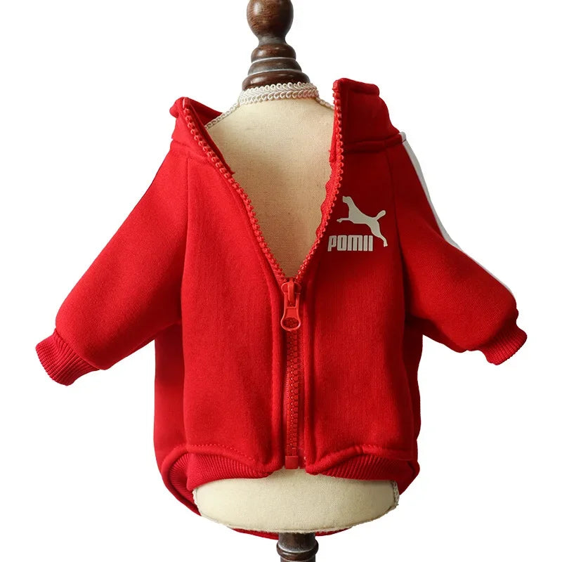 Dog Baseball Jacket