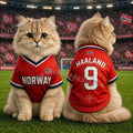 2026 cat dog soccer jerseyNorway Flag Printed Harland No. 9 Large Dog Jersey Basketball Clothing, Puppy T-Shirts, Pet Cat Shirts