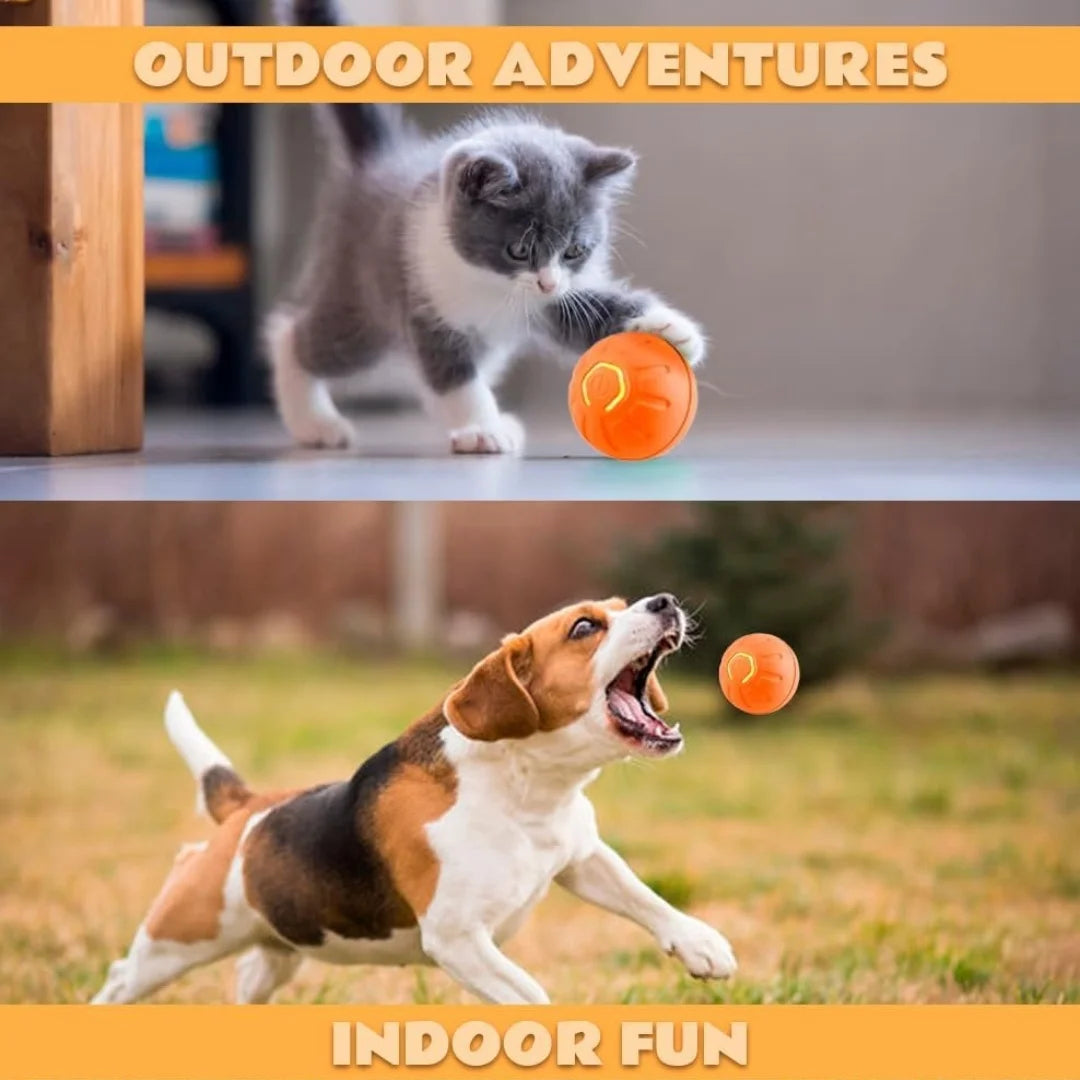 Electric Bouncing Ball Toy for Dogs