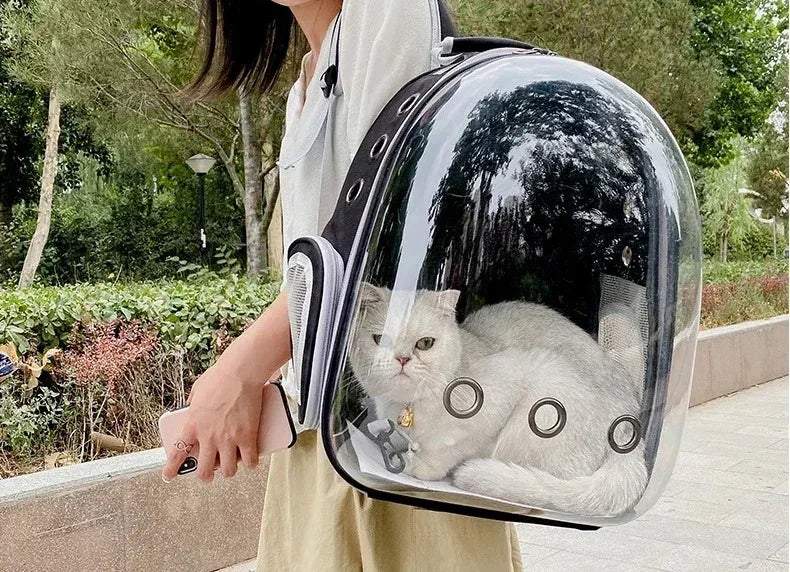 Space Capsule Pet Backpack | Transparent Breathable Carrier for Cats &amp; Small Dogs