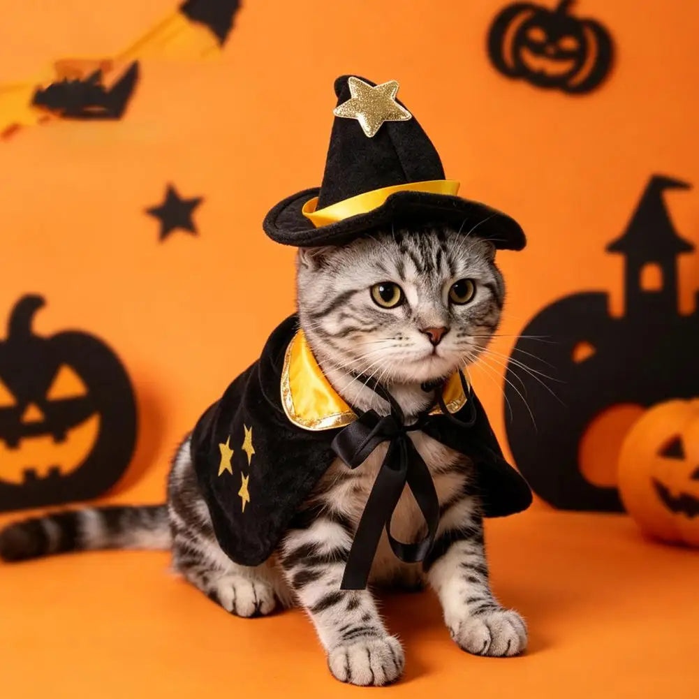 1 Set Halloween Pet Cat Witch Costume Black Cape Wizard Hat Moon Star Cloak for Small Medium Dogs Party Cosplay