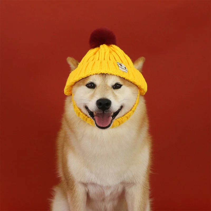 Knitted Dog Hat with Pom Pom Ear Exposed Winter Windproof Pet Cap Warm Knit Puppy Clothing for Small Dogs Christmas Photo Props