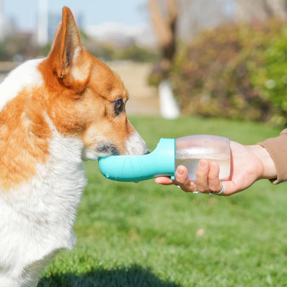 300 mL Portable Pet Water Bottle
