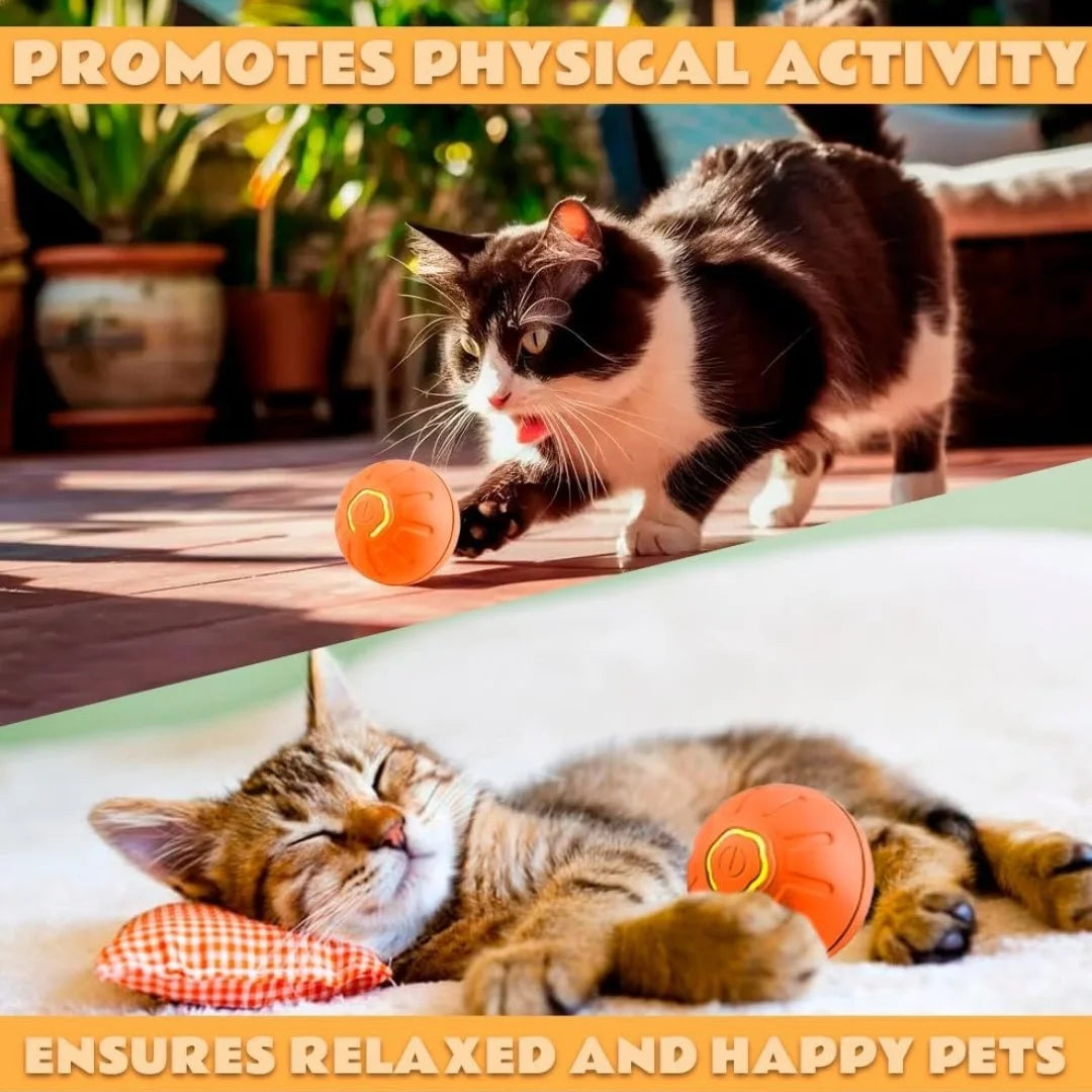 Electric Bouncing Ball Toy for Dogs