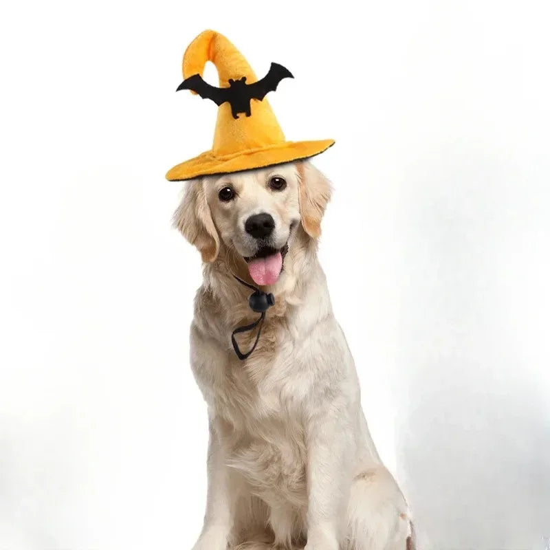 1× Halloween Pet Hat Cat Dog Witch Hat Pumpkin Wizard Costume Funny Spooky Pet Headwear Cosplay Party Accessory Adjustable Strap