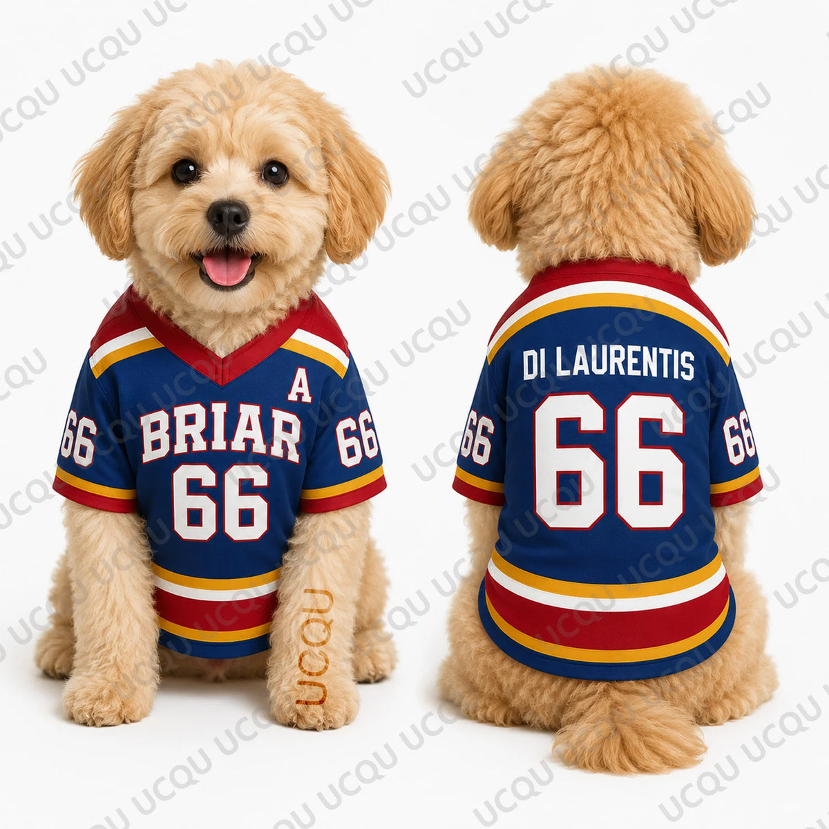 2026 New Summer Pet Off Campus Briar University Dog Jersey 44 66 Puppy Cat Sports Shirt Cosplay Fan Outfit