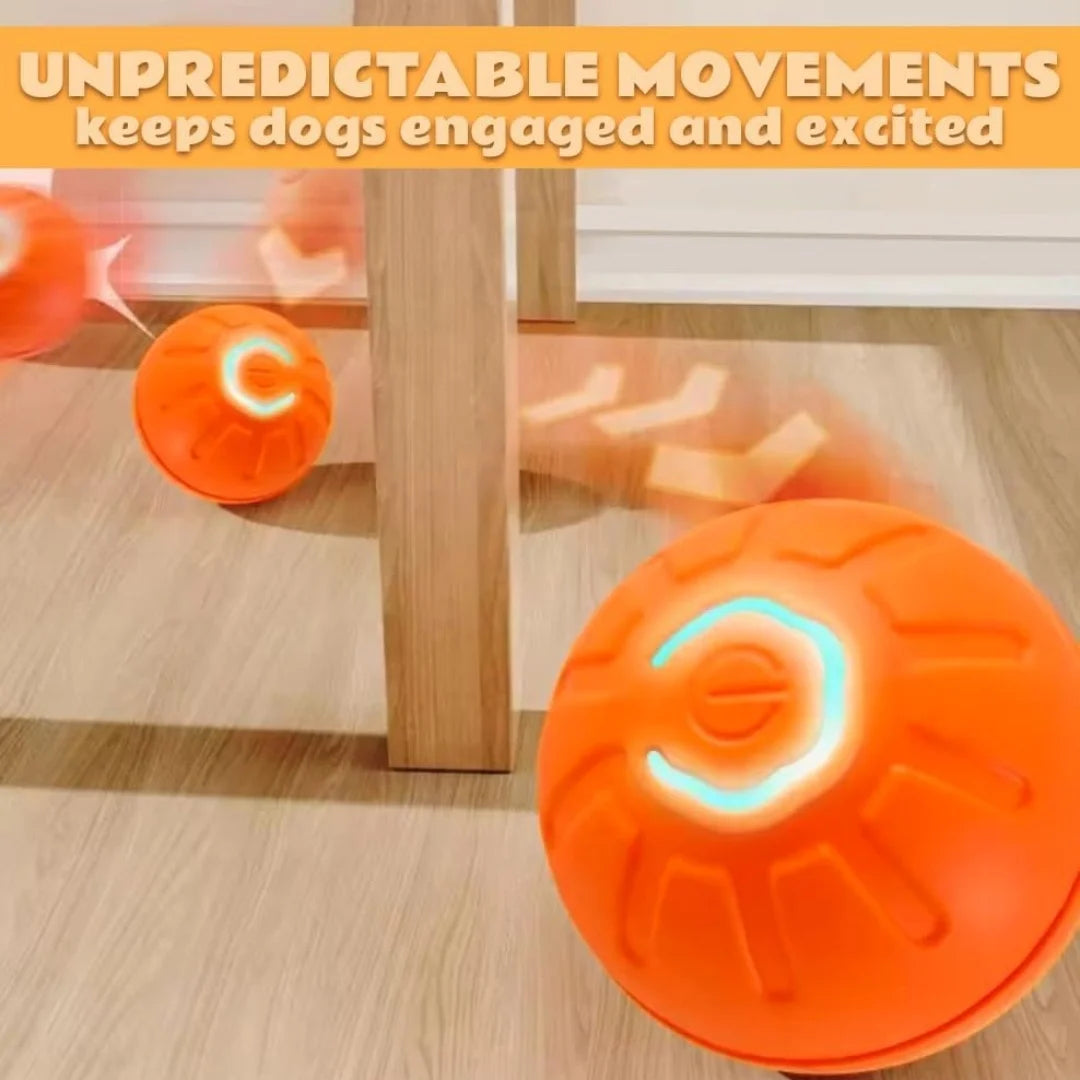 Electric Bouncing Ball Toy for Dogs