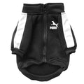 Dog Baseball Jacket