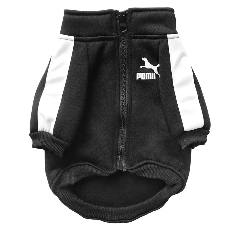 Dog Baseball Jacket