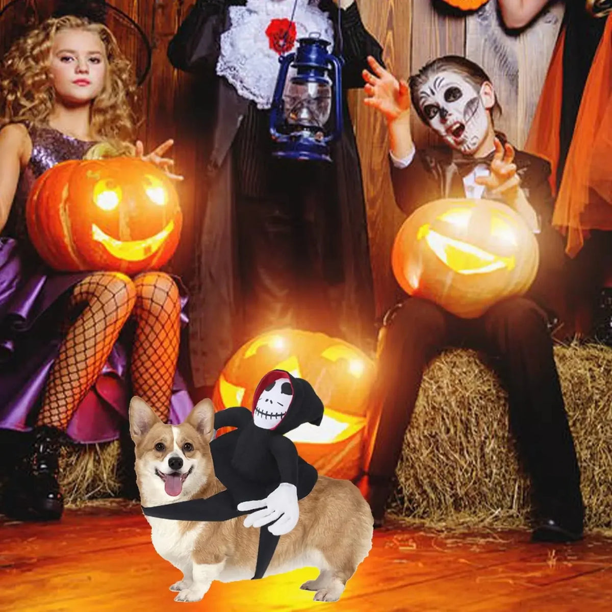 Halloween Pet Costume Ghost Costumes for Dogs Pets Party Cosplay Clothing Halloween Black Cat Costume for Small To Large Dogs