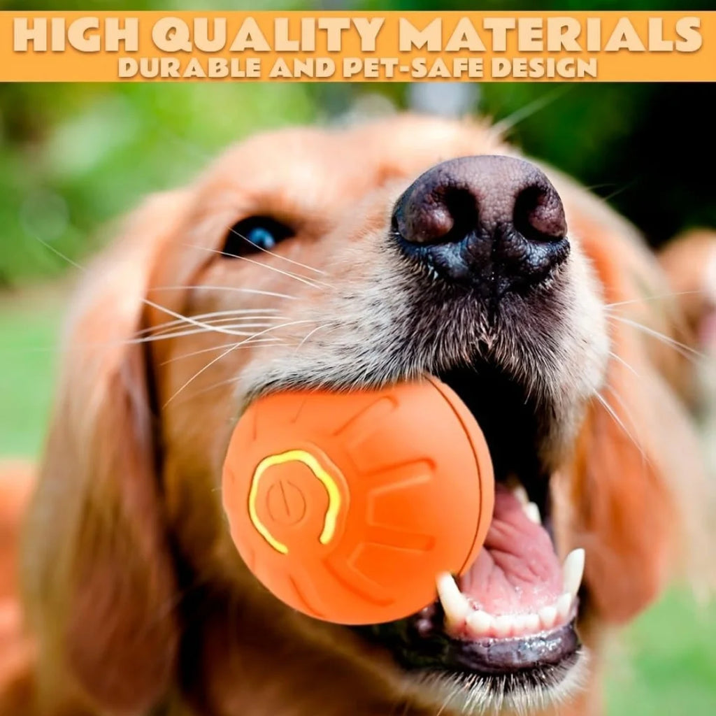 Electric Bouncing Ball Toy for Dogs