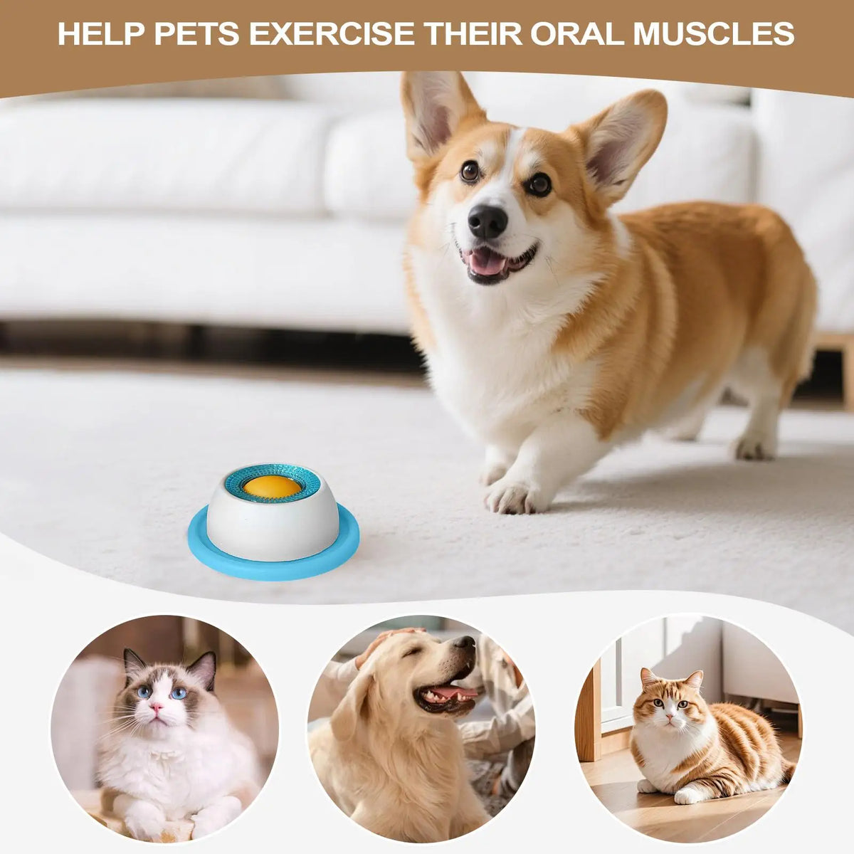Interactive Lick Feeder for Dogs & Cats