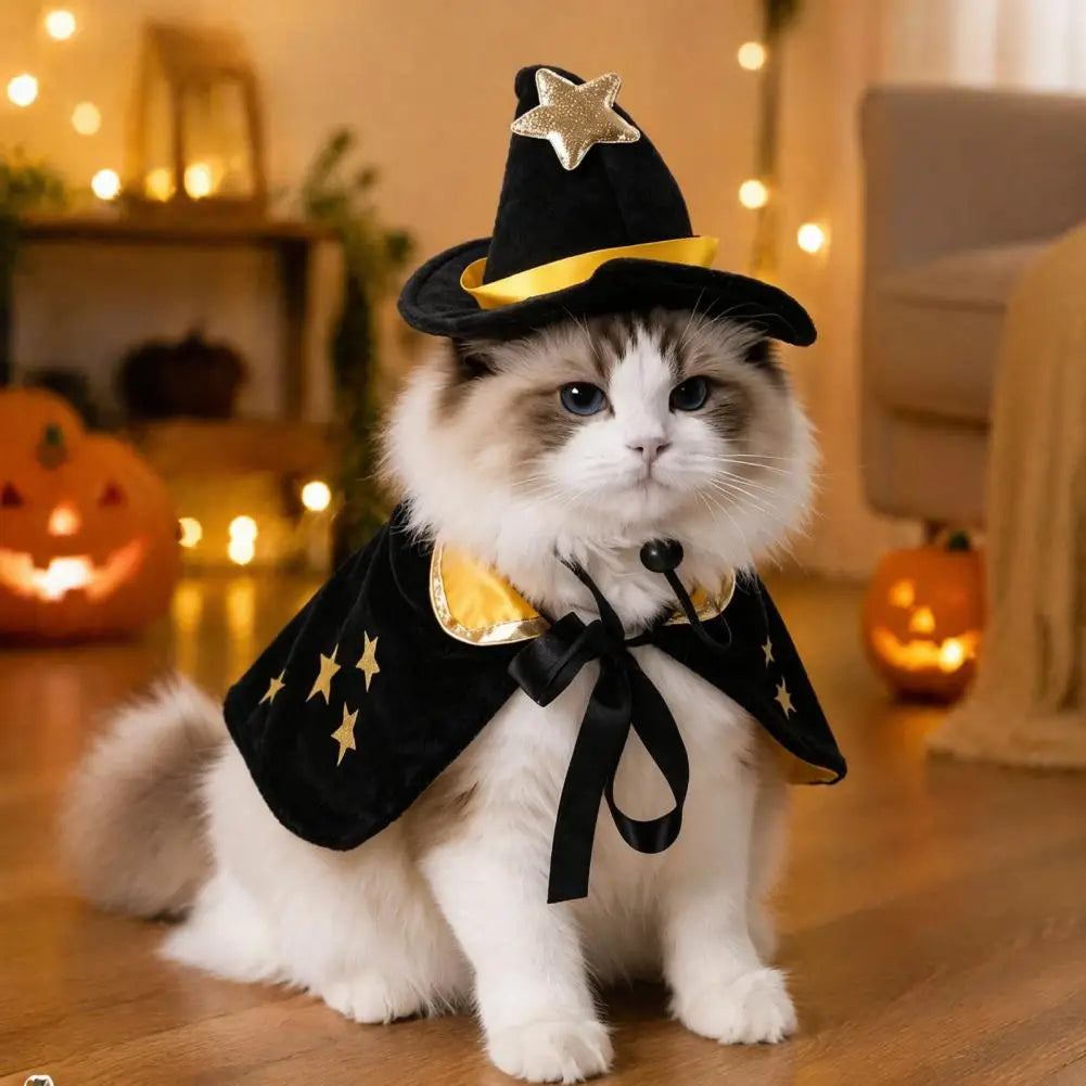 1 Set Halloween Pet Cat Witch Costume Black Cape Wizard Hat Moon Star Cloak for Small Medium Dogs Party Cosplay