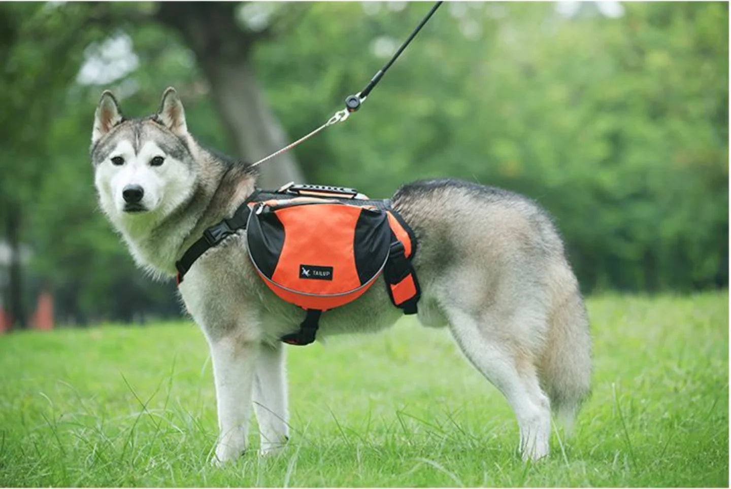 Reflective Dog Saddle Bag Harness | Adjustable Carrier for Hiking, Camping &amp; Travel