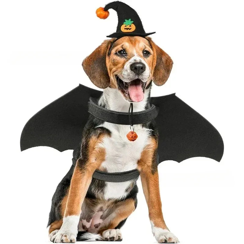 1× Halloween Pet Hat Cat Dog Witch Hat Pumpkin Wizard Costume Funny Spooky Pet Headwear Cosplay Party Accessory Adjustable Strap