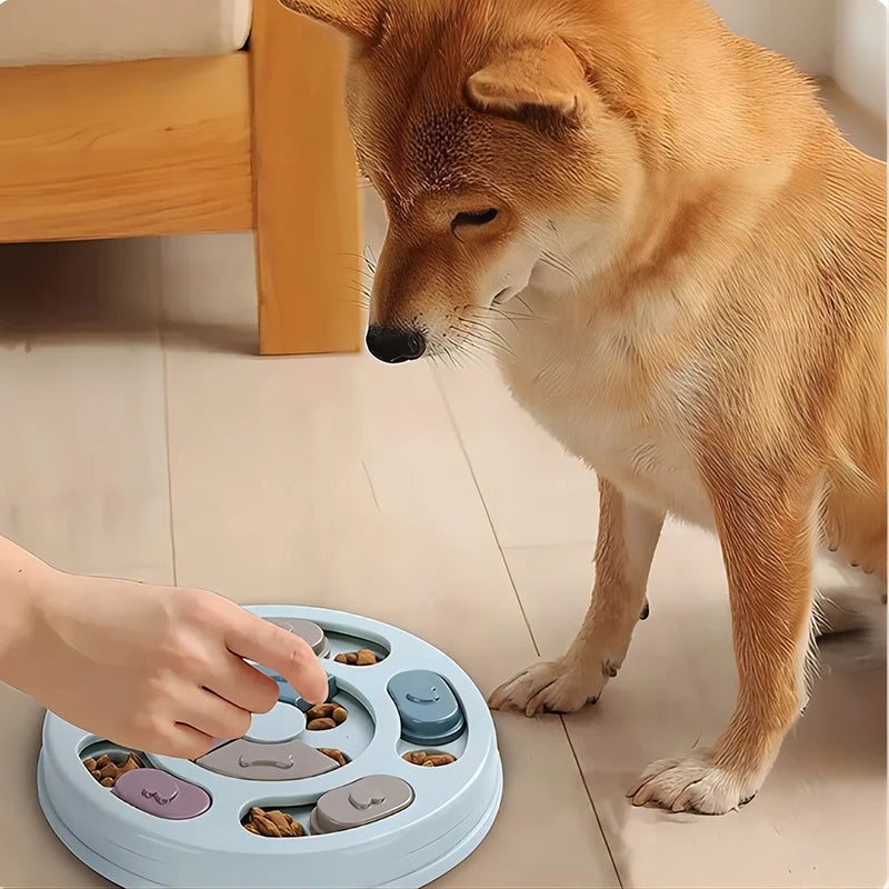 Interactive Slow Feeder for Dogs