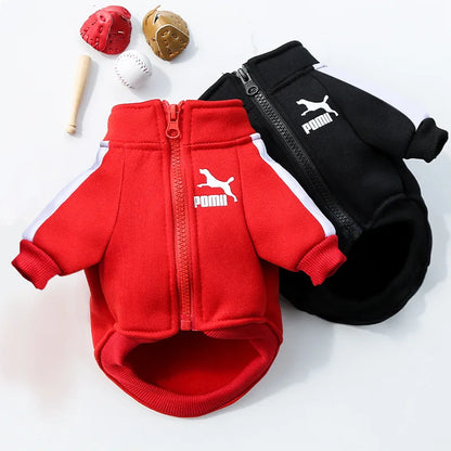 Pet Sweatshirt | Warm Letter Print Hoodie for Dogs &amp; Cats | Fall &amp; Winter