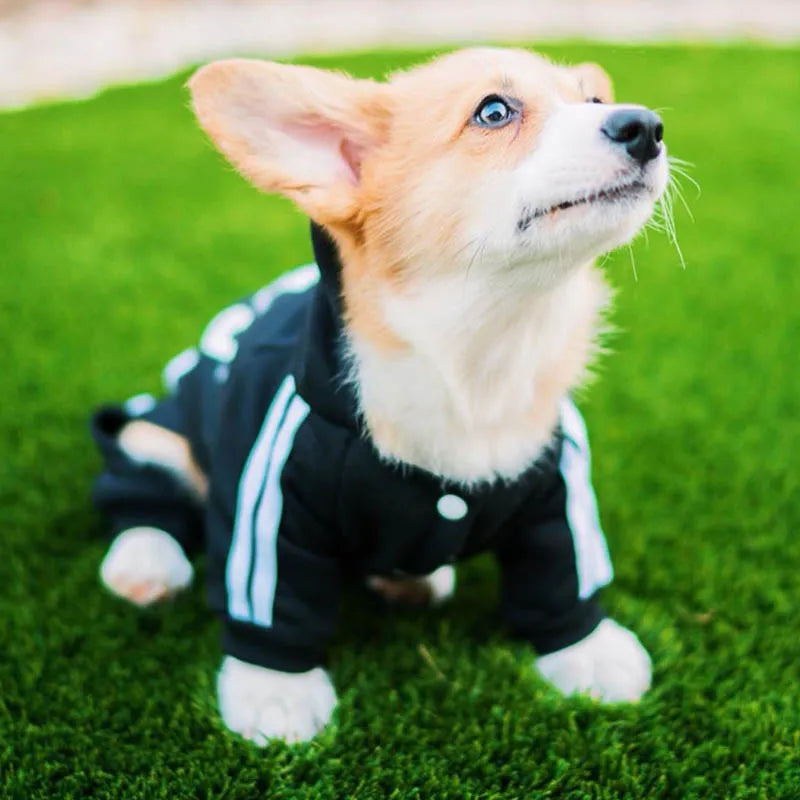 Pet Clothes French Bulldog Dog Costume Pet Jumpsuit Pug Pets Dogs Clothing for Small Medium Dogs Puppy Outfit Hooded sweatshirt