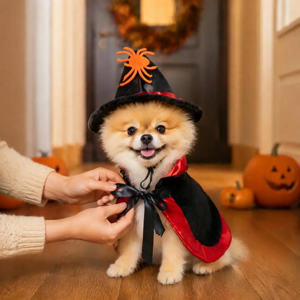 1 Set Halloween Pet Cat Witch Costume Black Cape Wizard Hat Moon Star Cloak for Small Medium Dogs Party Cosplay