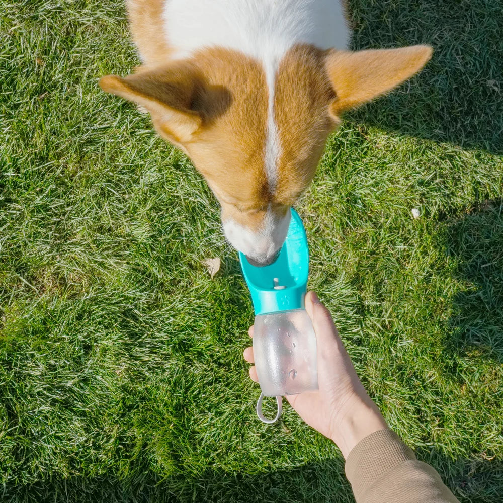 300 mL Portable Pet Water Bottle