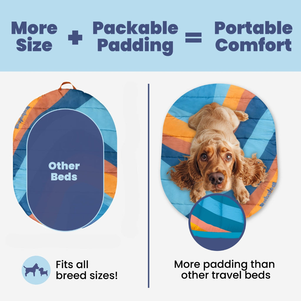 Foldable Travel Dog Bed