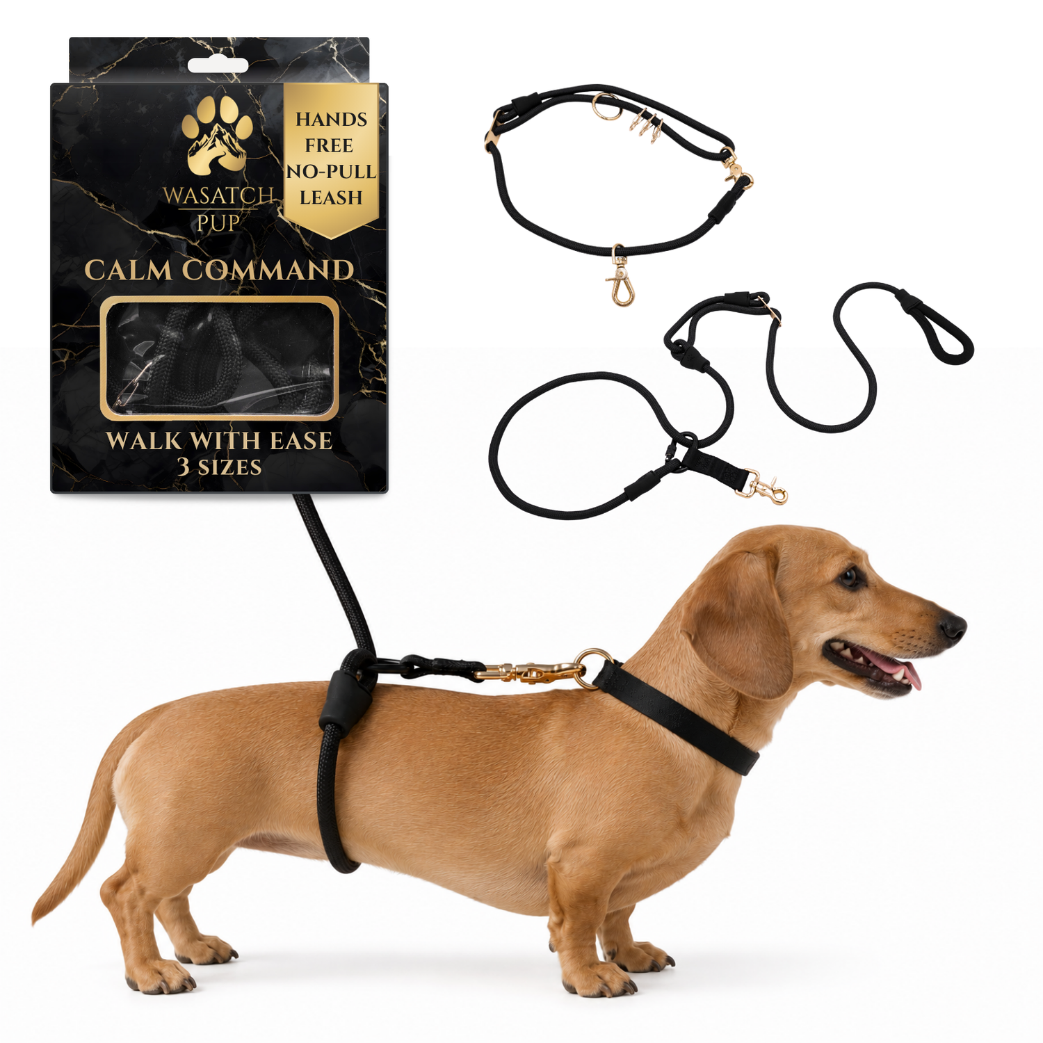 Calm Command © Hands Free, No-Pull Leash set