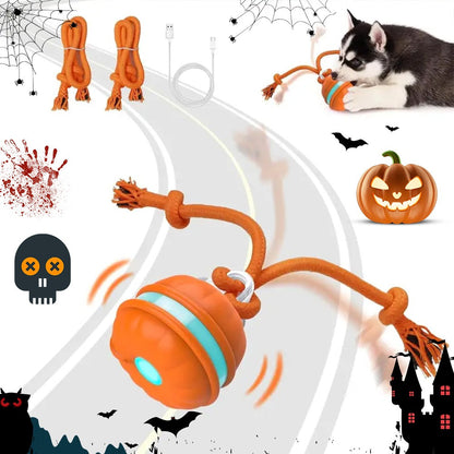 Motion-Activated Automatic Rolling Dog Ball – Interactive Rechargeable Toy for Puppies &amp; Small Dogs