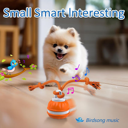 Motion-Activated Automatic Rolling Dog Ball – Interactive Rechargeable Toy for Puppies &amp; Small Dogs