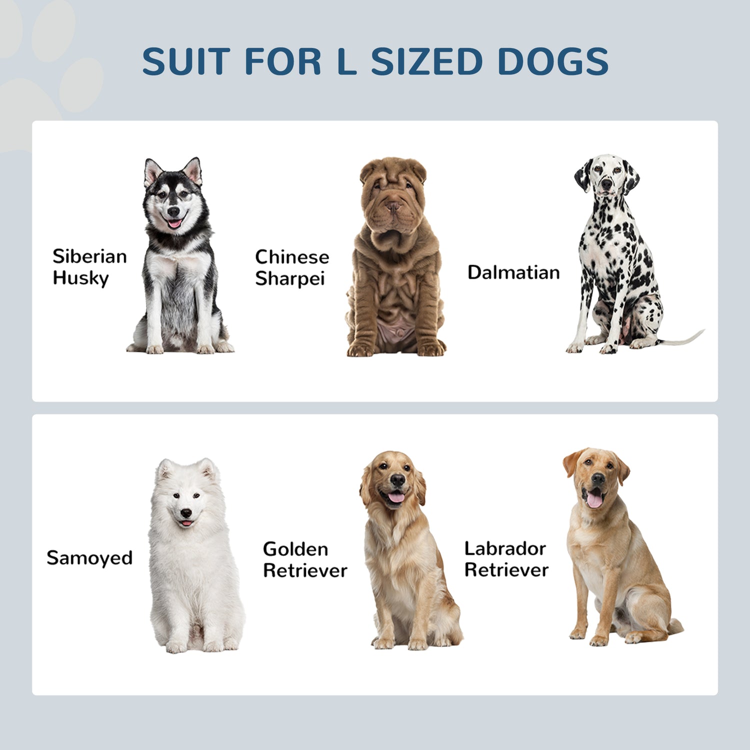 Large Elevated Dog Bowls with Storage Drawer Containing