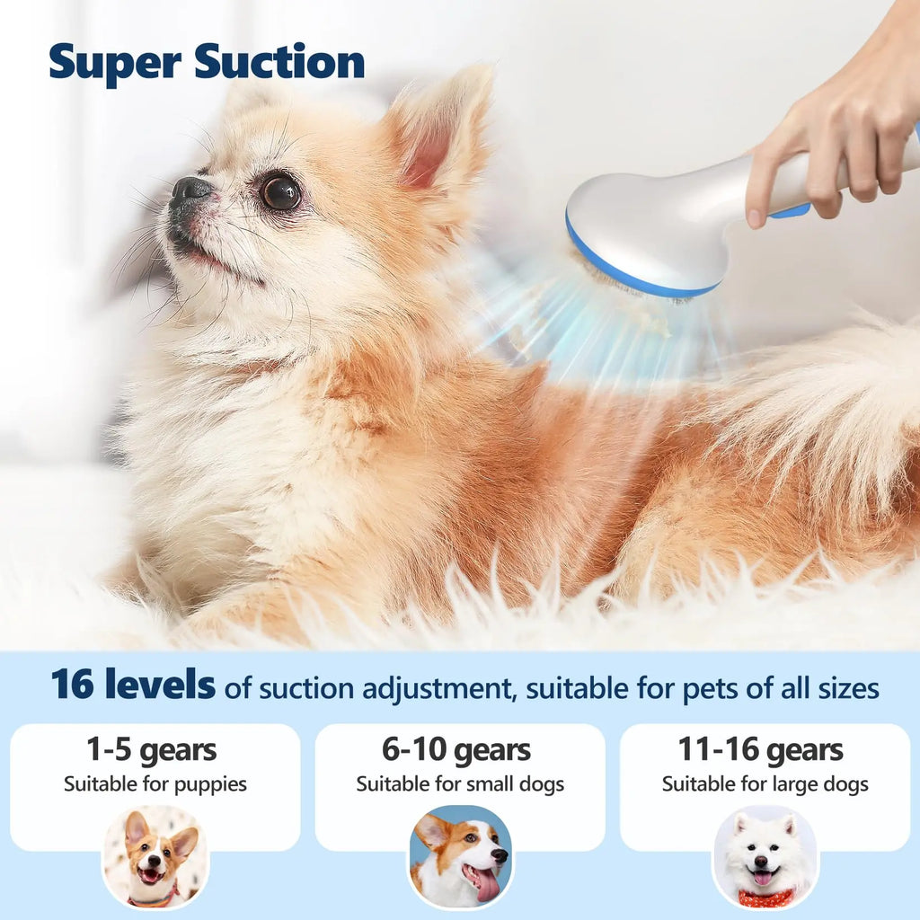 GARVEE Dog Grooming Kit Pet Grooming Hair Vacuum, 5 In-1 Pet Grooming Kit with 2L Large Capacity Dust Cup, Low Noise Dog Hair Remover for Shedding Grooming Dogs Cats and Other Animals