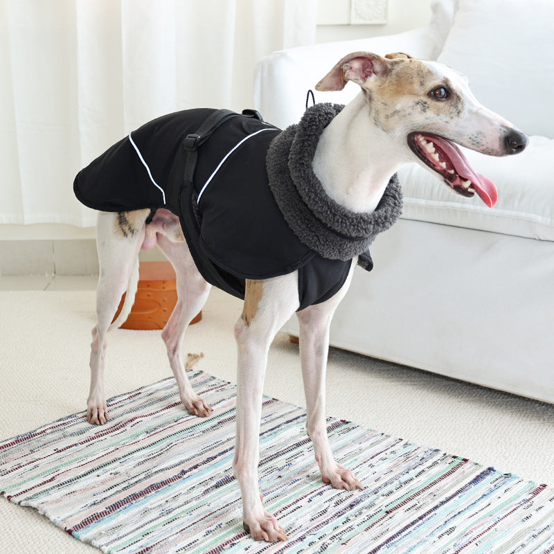 Dog Cotton-padded Clothes Go Out In Autumn And Winter Warm-