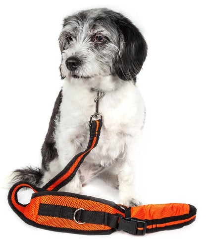 Pet Life ® &