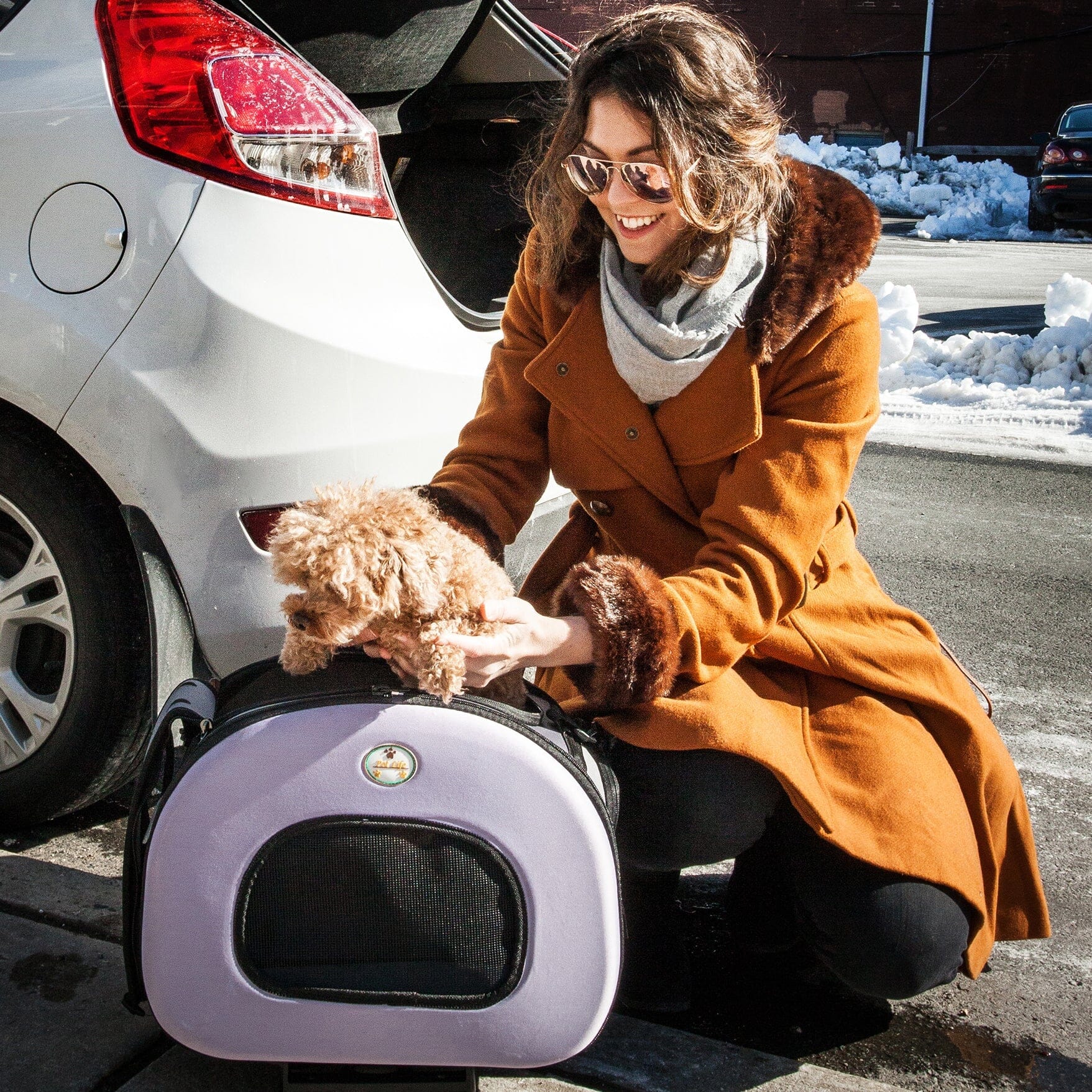 Pet Life® Airline-Approved Wheeled Collapsible Dog Carrier