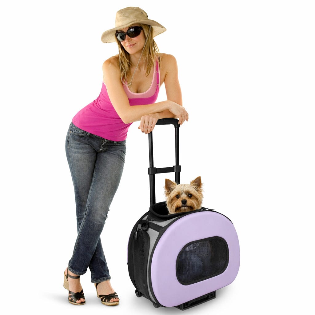 Pet Life® Airline-Approved Wheeled Collapsible Dog Carrier
