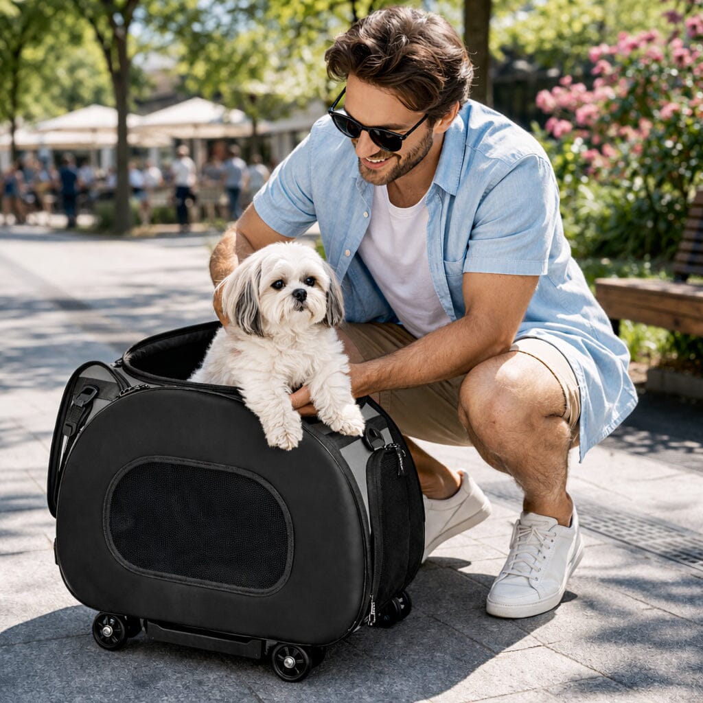 Pet Life® Airline-Approved Wheeled Collapsible Dog Carrier