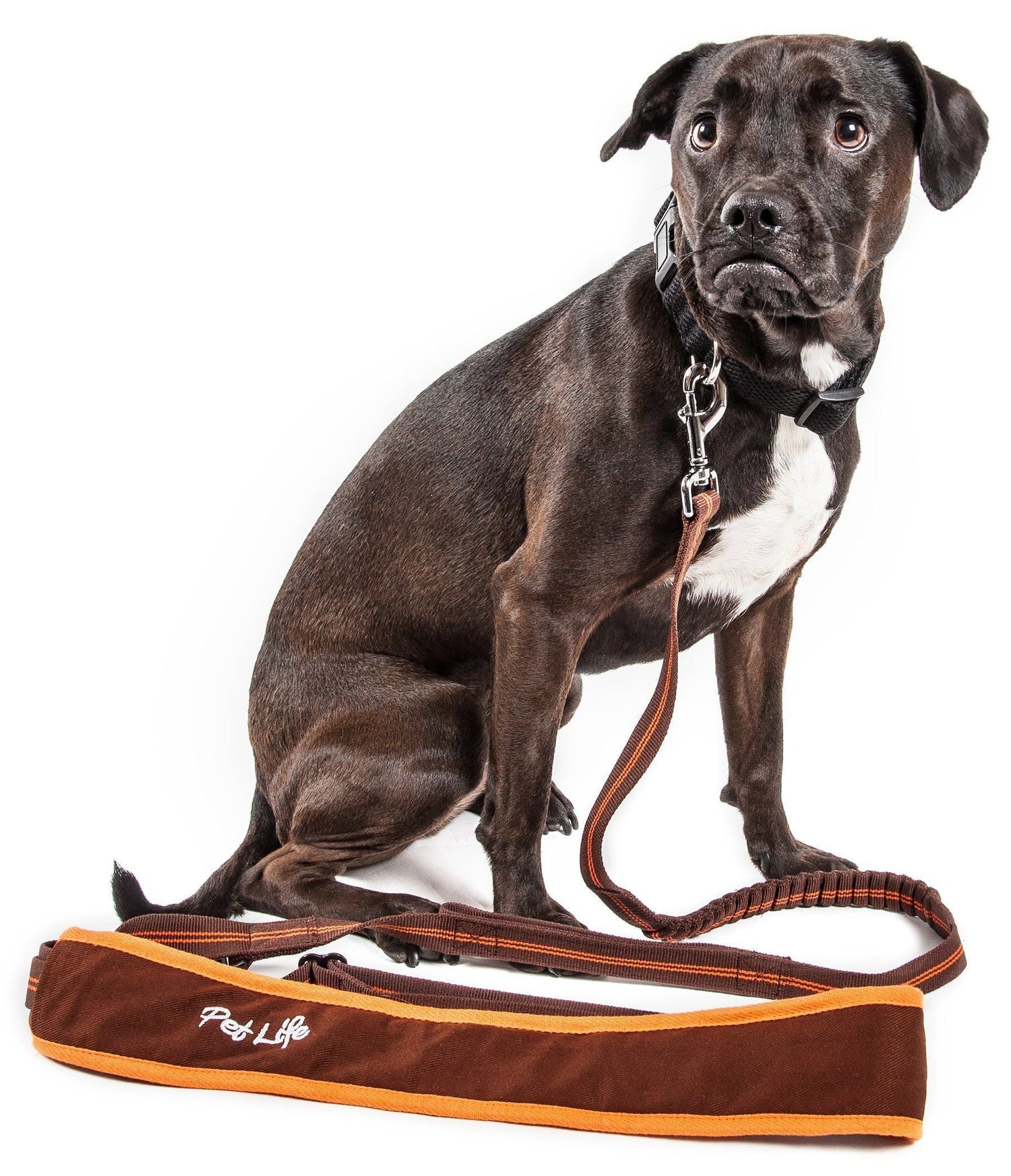 Pet Life ®  &