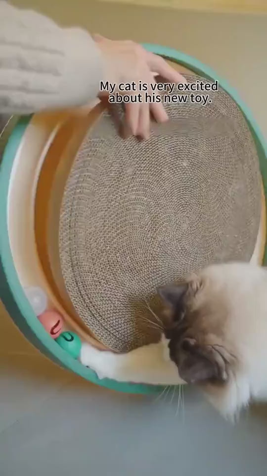 1.mp4