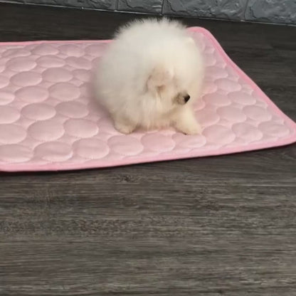 Pet Ice Mat Summer Pet Mat Dog Mat Cat Cooling Mat Pet Supplies Pet Cooling Supplies Pet Mat