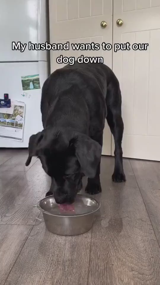 1.mp4