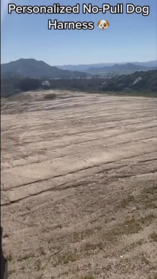 1.mp4
